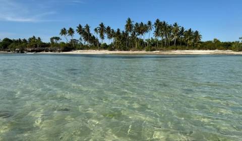 57000m² ungezähmter Luxus: Baugrundstück direkt am Strand von Sansibar
