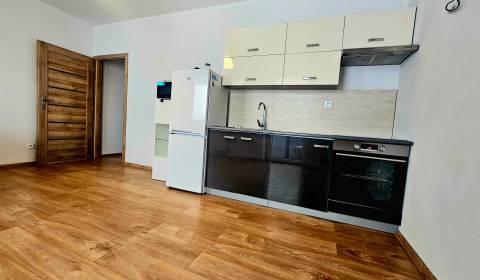 Kaufen 2-Zimmer-Wohnung, 2-Zimmer-Wohnung, Horné Motešice, Trenčín, Sl