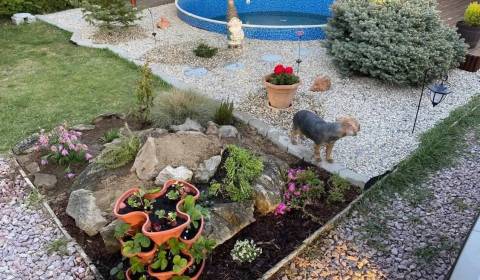 Kaufen Ferienhaus, Ferienhaus, Šaľa, Slowakei