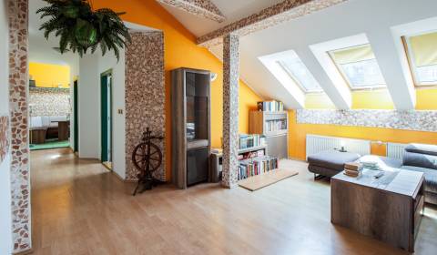 Kaufen 4-Zimmer-Wohnung, 4-Zimmer-Wohnung, Ľadová, Bratislava - Staré 