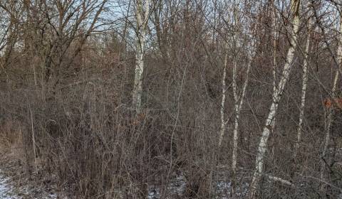 Kaufen Garten, Garten, Košice - Šaca, Slowakei