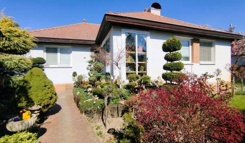 Kaufen Einfamilienhaus, Einfamilienhaus, Šaľa, Slowakei