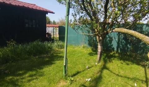 Kaufen Garten, Garten, Šaľa, Slowakei