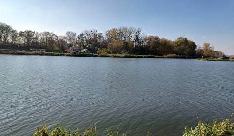 Kaufen landwirtsch. Grundstücke, landwirtsch. Grundstücke, Galanta, Sl