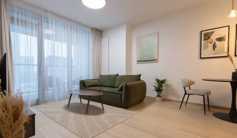 Mieten 2-Zimmer-Wohnung, 2-Zimmer-Wohnung, Pribinova, Bratislava - Sta