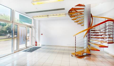 Mieten Geschäftsräumlichkeiten, Geschäftsräumlichkeiten, Košická, Brat