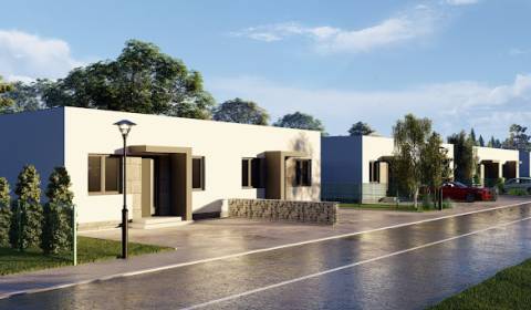 Kaufen Einfamilienhaus, Einfamilienhaus, Veľké Janíkovce, Nitra, Slowa