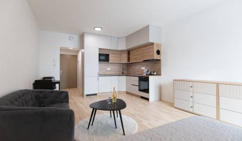 Mieten 1-Zimmer-Wohnung, 1-Zimmer-Wohnung, Bottova, Bratislava - Staré