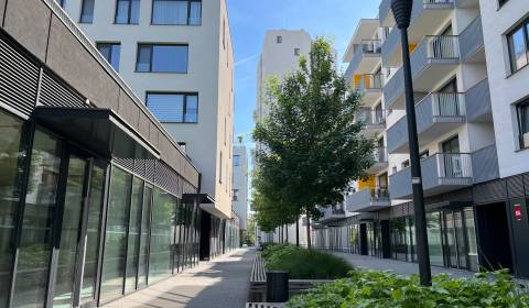 NIVY/JARABINKY - Gewerbefläche in der Fußgängerzone zu vermieten