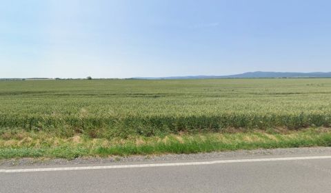 Kaufen landwirtsch. Grundstücke, landwirtsch. Grundstücke, Pezinok, Sl