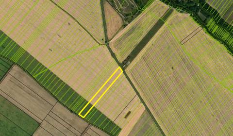 Kaufen landwirtsch. Grundstücke, landwirtsch. Grundstücke, Pezinok, Sl