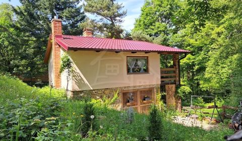 Kaufen Ferienhaus, Ferienhaus, Nitra, Slowakei