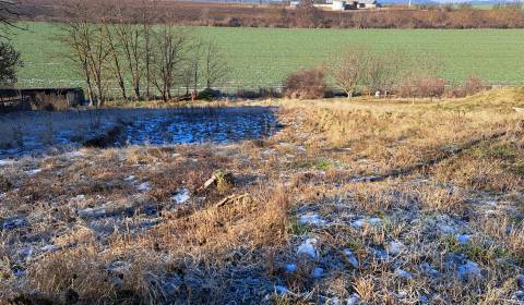 Kaufen Baugrund, Baugrund, Hlavná, Nitra, Slowakei