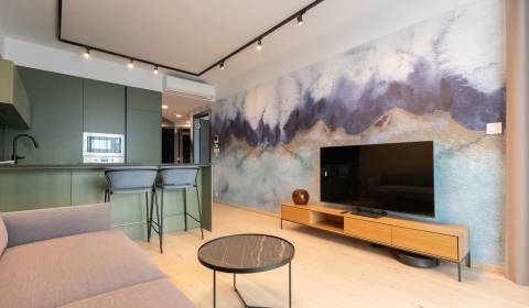 Mieten 2-Zimmer-Wohnung, 2-Zimmer-Wohnung, Pribinova, Bratislava - Sta