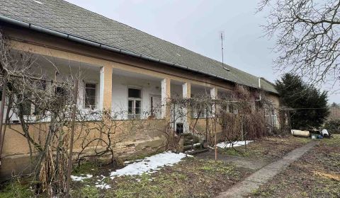 Kaufen Einfamilienhaus, Einfamilienhaus, SNP, Levice, Slowakei