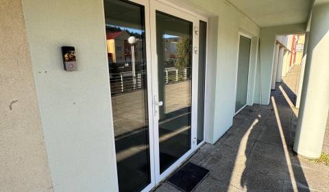 Mieten Geschäftsräumlichkeiten, Geschäftsräumlichkeiten, Moyzesova, Po