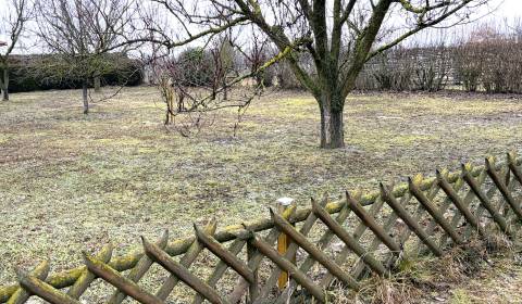 Baugrundstück in ruhiger Lage, Kittsee