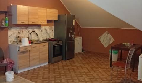 Kaufen Einfamilienhaus, Einfamilienhaus, Hlavná, Šaľa, Slowakei