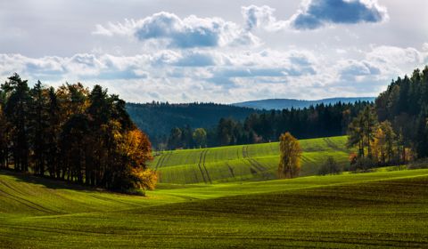 Kaufen landwirtsch. Grundstücke, landwirtsch. Grundstücke, Michalovce,