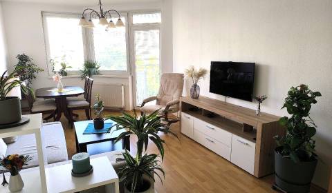 Mieten 2-Zimmer-Wohnung, 2-Zimmer-Wohnung, Jégeho, Bratislava - Ružino