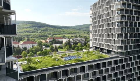 Mieten 2-Zimmer-Wohnung, 2-Zimmer-Wohnung, Račianska, Bratislava - Nov