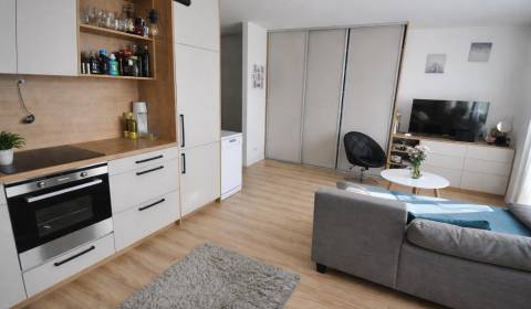 Kaufen 1-Zimmer-Wohnung, 1-Zimmer-Wohnung, Bajkalská, Bratislava - Nov