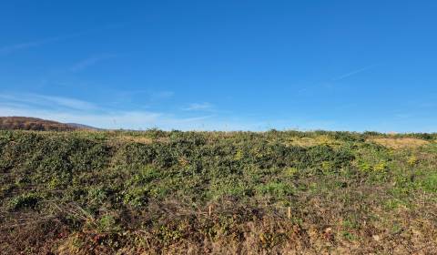 Kaufen Baugrund, Baugrund, Zlaté Moravce, Slowakei