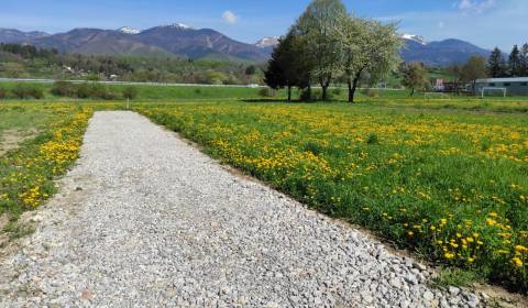 Kaufen Baugrund, Baugrund, Martin, Slowakei