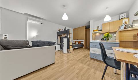Kaufen 1-Zimmer-Wohnung, 1-Zimmer-Wohnung, Tomášikova, Bratislava - No