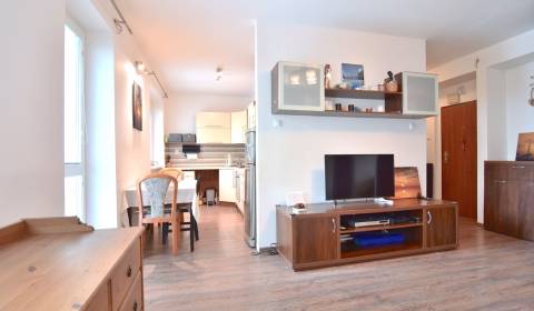 Mieten 2-Zimmer-Wohnung, 2-Zimmer-Wohnung, Vietnamská, Bratislava - Ru