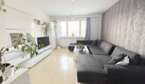 Mieten 3-Zimmer-Wohnung, 3-Zimmer-Wohnung, Macharova, Bratislava - Pet