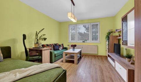 Kaufen 1-Zimmer-Wohnung, 1-Zimmer-Wohnung, Studenohorská, Bratislava -