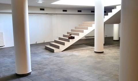 Mieten Geschäftsräumlichkeiten, Geschäftsräumlichkeiten, Vajnorská, Br