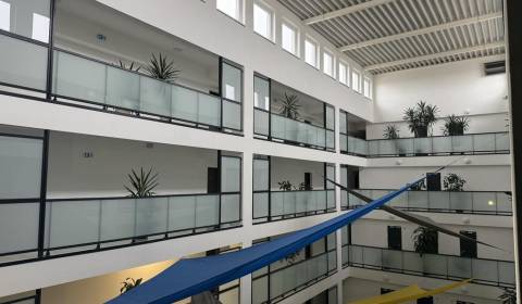 Kaufen 2-Zimmer-Wohnung, 2-Zimmer-Wohnung, Rybničná, Bratislava - Vajn