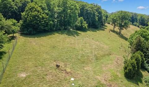 Kaufen Baugrund, Baugrund, Nitra, Slowakei