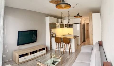 Mieten 2-Zimmer-Wohnung, 2-Zimmer-Wohnung, Nobelova, Bratislava - Nové