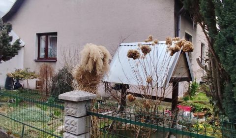 Kaufen Einfamilienhaus, Einfamilienhaus, Horelica, Čadca, Slowakei