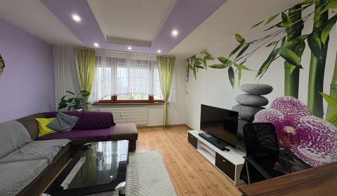 Mieten 2-Zimmer-Wohnung, 2-Zimmer-Wohnung, Komárno, Slowakei