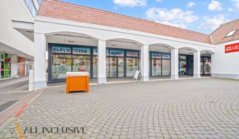 Mieten Geschäftsräumlichkeiten, Geschäftsräumlichkeiten, Námestie Armi