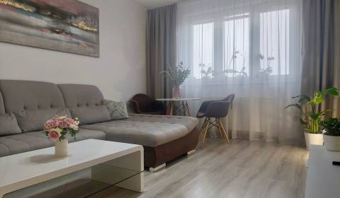 Kaufen 2-Zimmer-Wohnung, 2-Zimmer-Wohnung, Šalviová, Bratislava - Ruži