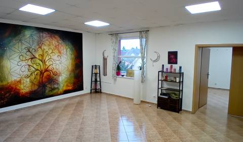 Mieten Büros, Büros, Sladovnícka, Trnava, Slowakei