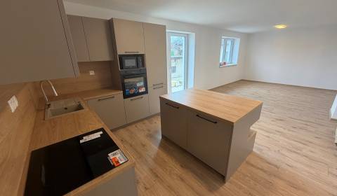 Kaufen Einfamilienhaus, Einfamilienhaus, Sasinkovo, Hlohovec, Slowakei