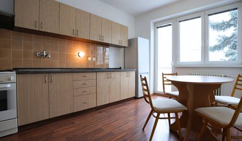 Mieten 3-Zimmer-Wohnung, 3-Zimmer-Wohnung, Gogoľova, Trenčín, Slowakei