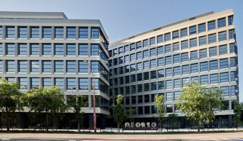 Mieten Geschäftsräumlichkeiten, Geschäftsräumlichkeiten, Prievozská, B