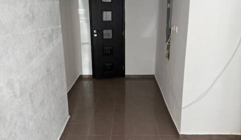 Mieten Geschäftsräumlichkeiten, Geschäftsräumlichkeiten, Saratovská, L