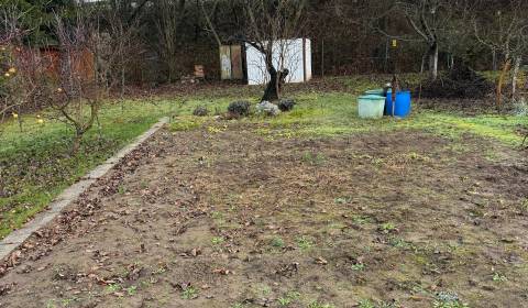 Kaufen Garten, Garten, Podhradie, Levice, Slowakei