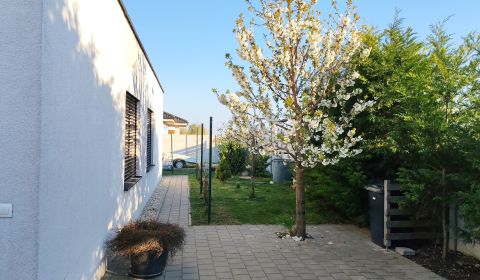 Kaufen Einfamilienhaus, Einfamilienhaus, Trnava, Slowakei