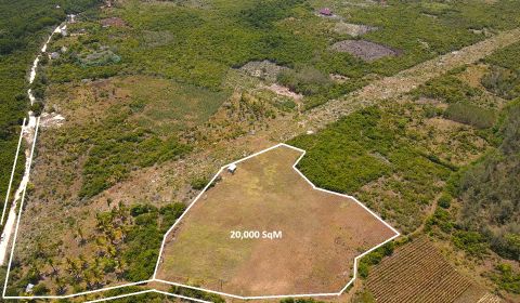 EXCEPTIONAL FARMLAND & INVESTMENT OPPORTUNITY BORDERING JOZANI PARK
