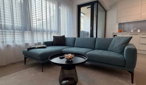 Mieten 2-Zimmer-Wohnung, 2-Zimmer-Wohnung, Radlinského, Bratislava - S