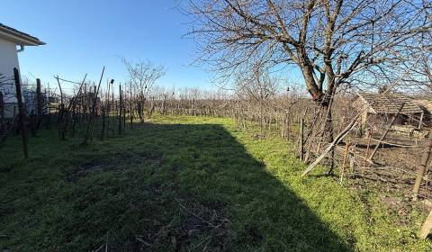 Kaufen Einfamilienhaus, Einfamilienhaus, Cintorínska, Komárno, Slowake